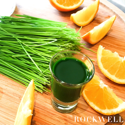 Benefits of clearance drinking wheatgrass juice